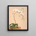 Phalaenopsis Stuartiana - Harriet Stewart Miner — framed artwork on a wall