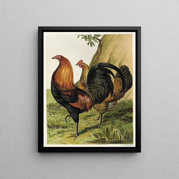 Gibier rouge à poitrine noire - Harrison Weir — framed artwork on a wall