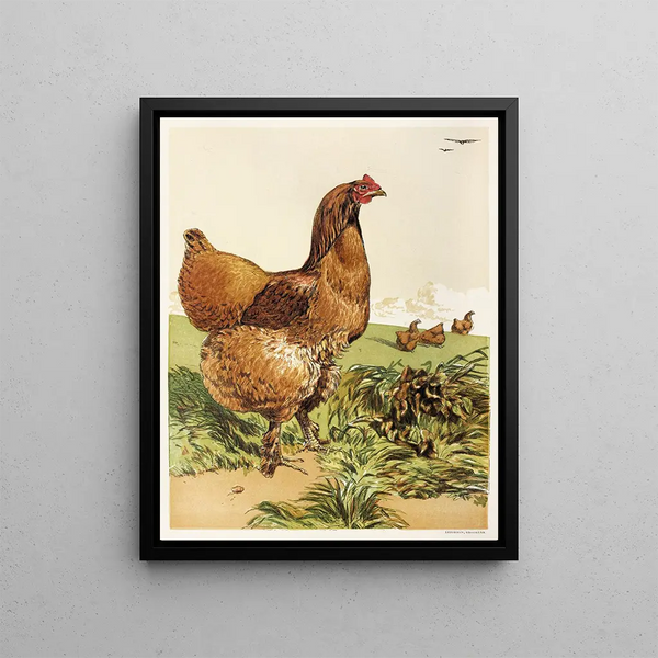 Poule Cochin à la cannelle - Harrison Weir — framed artwork on a wall