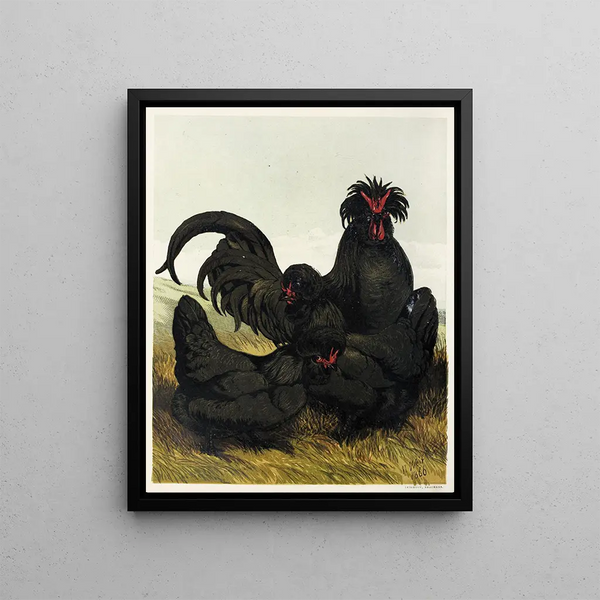 Heartbreak - Harrison Weir — framed artwork on a wall