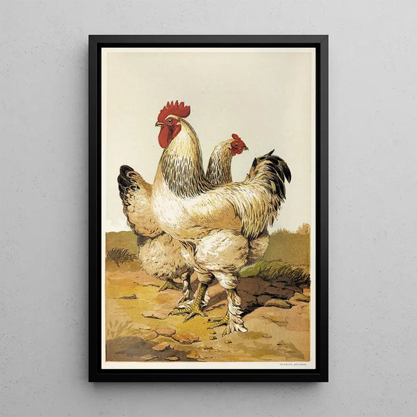 Shanghai Gray Painting - Harrison Weir — framed artwork on a wall