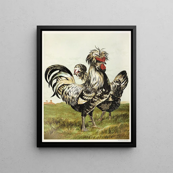 Houdans - Harrison Weir — framed artwork on a wall