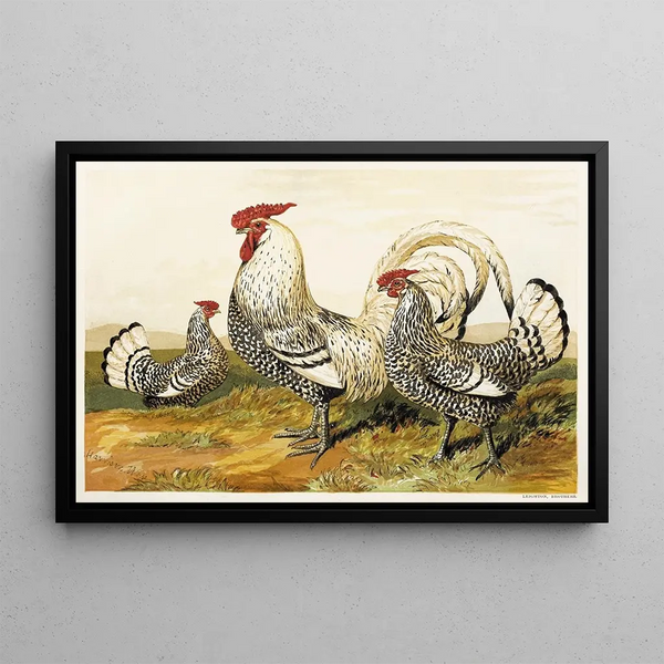 Hambourgs Argentés Tachetés - Harrison Weir — framed artwork on a wall