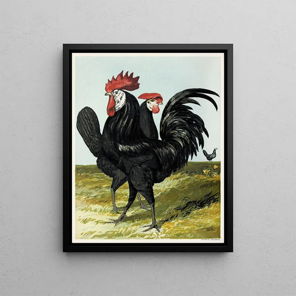 Spanish Painting - Harrison Weir — framed artwork on a wall