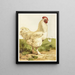 Coq Cochin blanc - Harrison Weir — framed artwork on a wall