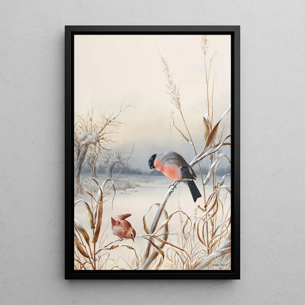 Winter A bullfinch and a wren - Harry Bright — framed artwork on a wall