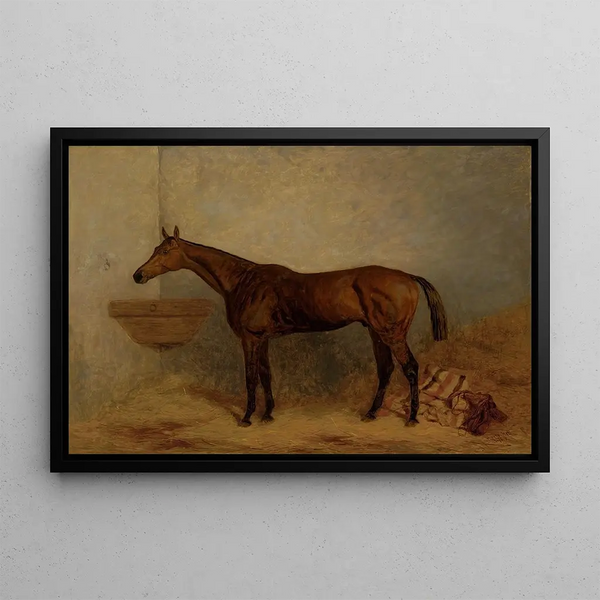 Isonomy a bay foal in a box - Harry Hall — framed artwork on a wall