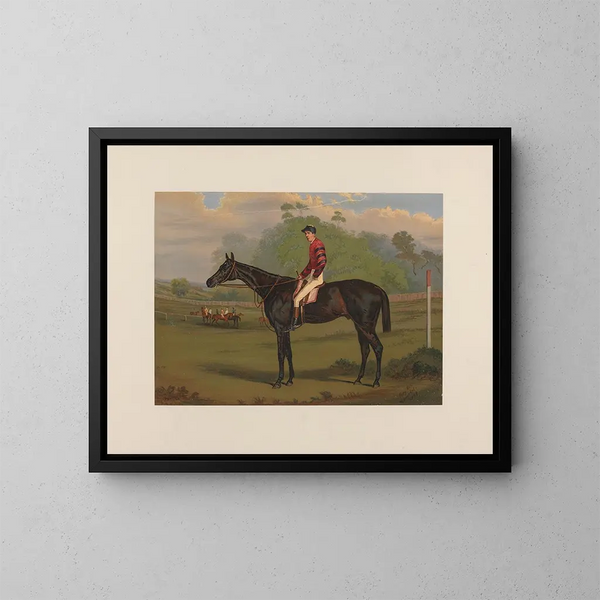 Parole, bay gelding - Harry Hall — framed artwork on a wall