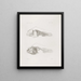 Memories of the Harvard College Museum of Comparative Zoology Pl14 - Harvard University Museum of Comparative Zoology — framed artwork on a wall