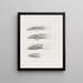 Memories of the Harvard College Museum of Comparative Zoology Pl30 - Harvard University Museum of Zoology — framed artwork on a wall