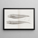 Memories of Pl36 - Harvard University Museum of Comparative Zoology — framed artwork on a wall