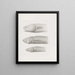 Memories of the Harvard College Museum of Comparative Zoology Pl37 - Harvard University Museum of Zoology — framed artwork on a wall