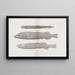 Memories of the Pl57 - Harvard University Museum of Comparative Zoology — framed artwork on a wall