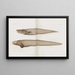 Memories of Pl89 - Harvard University Museum of Comparative Zoology — framed artwork on a wall