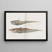 Memories of Pl91 - Harvard University Museum of Comparative Zoology — framed artwork on a wall