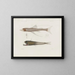 Memories of the Harvard College Museum of Comparative Zoology Pl94 - Harvard University Museum of Zoology — framed artwork on a wall