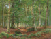 A forest clearing - Heinrich Böhmer — artwork view