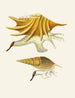 Les escargots ptérygoïdes Strombea Pl02 - Heinrich Carl Küster — artwork view