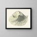 Les escargots volants Strombea Pl03 - Heinrich Carl Küster — framed artwork on a wall
