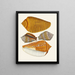 the Pterygoid Snails Strombea Pl08 - Heinrich Carl Küster — framed artwork on a wall