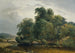 Landscape with Herd and Shepherd - Heinrich Peyer — artwork view