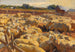 Sheep in the Enclosure - Heinrich von Zügel — artwork view