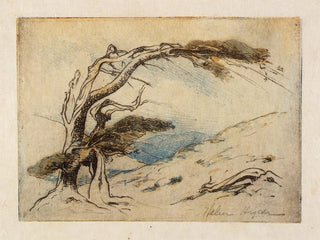 Survie du plus apte - Helen Hyde — artwork view