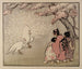The White Peacock - Helen Hyde — artwork view