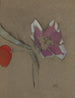 Anémone - Helene Schjerfbeck — artwork view