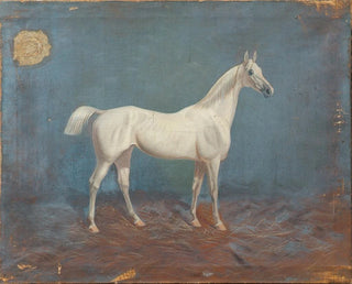 A white horse - Hema A Groy — artwork view