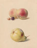 Peche mûre et noisette et une poire - Hendrik Reekers — artwork view