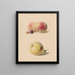 Peche mûre et noisette et une poire - Hendrik Reekers — framed artwork on a wall