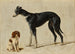 A Cavalier King Charles Spaniel sitting and a greyhound standing - Hendrik Stokvisch — artwork view