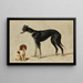 A Cavalier King Charles Spaniel sitting and a greyhound standing - Hendrik Stokvisch — framed artwork on a wall