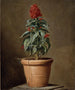 a potted plant - Henri-Horace Roland Delaporte — artwork view