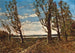 Landscape Painting with Gusts of Wind - Henri-Joseph Harpignies — artwork view