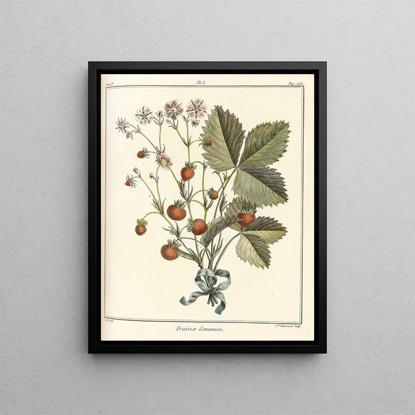 Treatise on Fruit Trees Pl31 - Henri-Louis Duhamel du Monceau — framed artwork on a wall