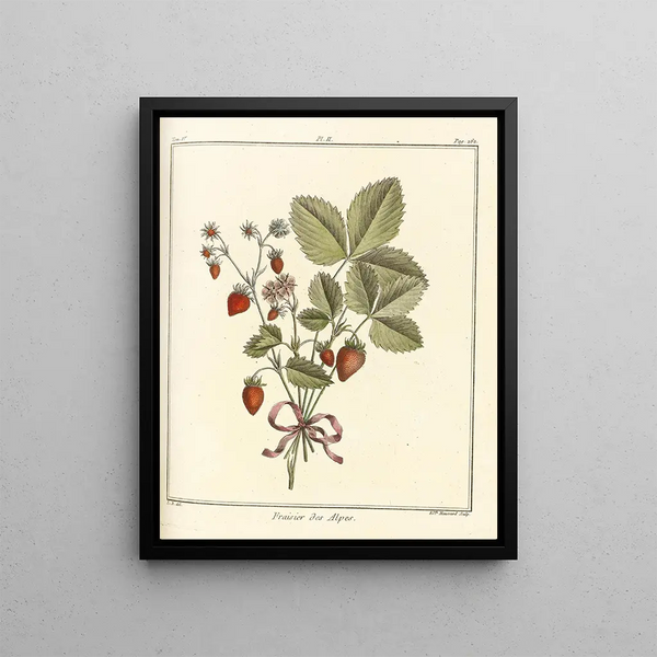 Traité des arbres fruitiers Pl32 - Henri-Louis Duhamel du Monceau — framed artwork on a wall