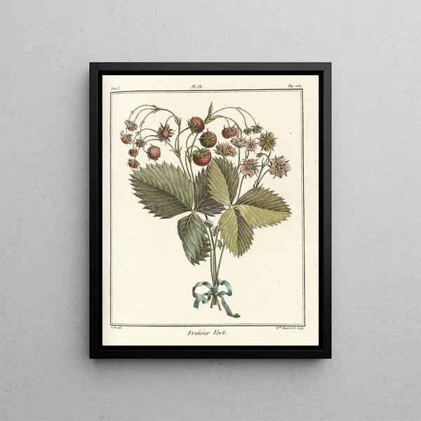 Treatise on Fruit Trees Pl39 - Henri-Louis Duhamel du Monceau — framed artwork on a wall