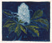 Chestnut - Henri Braakensiek — artwork view