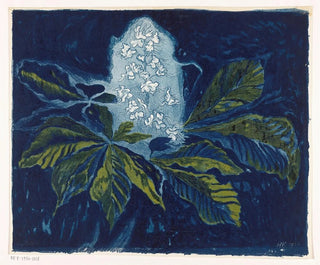 Chestnut - Henri Braakensiek — artwork view