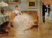 The Ball - Henri Gervex — artwork view