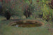 Marquayrol le bassin aux thuyas - Henri Martin — artwork view