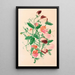 Sweet Pea - Henrietta Benson Homer — framed artwork on a wall