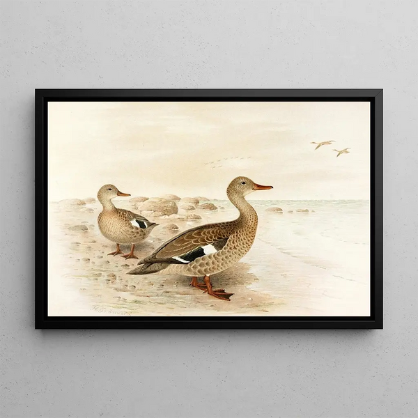 Malagasy teal painting - Henrik Grönvold — framed artwork on a wall
