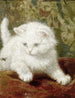 Curiosity - Henriette Ronner-Knip — artwork view