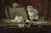 The kitten art lesson - Henriette Ronner-Knip — artwork view