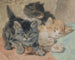 Three kittens - Henriette Ronner-Knip — artwork view
