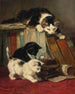 Watching the prey - Henriette Ronner-Knip — artwork view