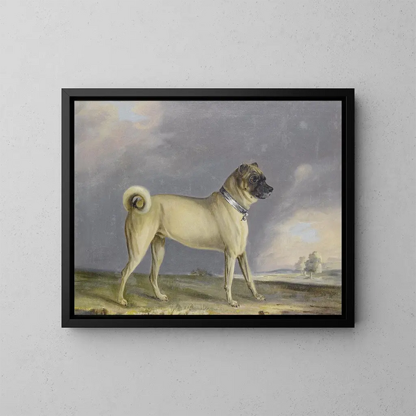 A pug dog - Henry Bernard Chalon — framed artwork on a wall